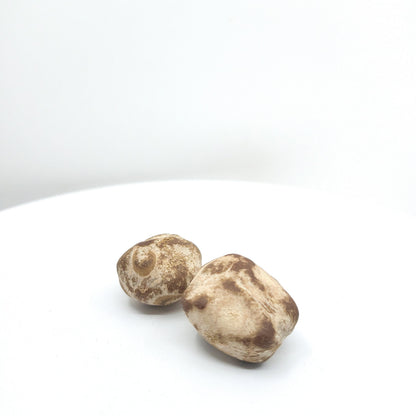 Suszone orzechy Marula